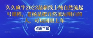 久久疯牛2023最新线上纯自然流起号课程，老杨是把自然流玩明白的人，可以闭眼上车-项目资源库