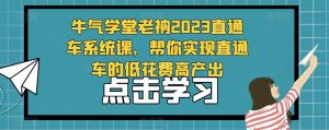 牛气学堂老衲2023直通车系统课,帮你实现直通车的低花费高产出-项目资源库