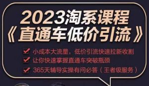 2023直通车低价引流玩法课程,小成本大流量,低价引流快速拉新收割,让你快速掌握直通车突破瓶颈-项目资源库