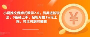 小说推文保姆式教学2.0,另类进阶玩法,0基础上手,轻松月撸1w无上限,可主可副可兼职-项目资源库