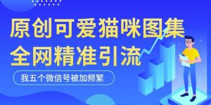 黑科技纯原创可爱猫咪图片，全网精准引流，实操5个VX号被加频繁-项目资源库