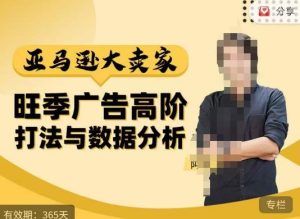 阿甘·亚马逊大卖家广告高阶打法与数据分析,走出传统广告误区;揭秘大卖惯用打法;数据驱动广告决策-项目资源库