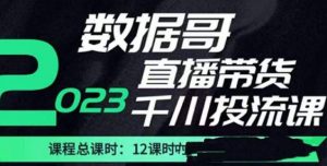 数据哥2023直播电商巨量千川付费投流实操课,快速掌握直播带货运营投放策略-项目资源库