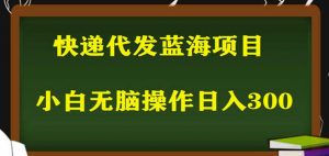 2023最新蓝海快递代发项目,小白零成本照抄也能日入300+-项目资源库