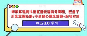 峰教练电商抖音直播投流起号课程:巨量千川全流程投放+小店随心推全流程+起号方式-项目资源库