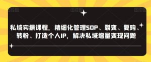 私域实操课程，精细化管理SOP、裂变、复购、转粉、打造个人IP，解决私域增量变现问题-项目资源库