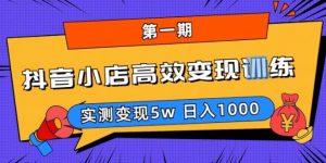 抖音小店高效变现训练营（第一期）,实测变现5w，日入1000【揭秘】-项目资源库