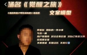 王扬名·《觉醒之旅》文案模型，​带着你用你的一件小事，对自己有意义的短视频文案-项目资源库