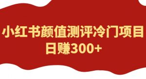 外面1980的项目,小红书颜值测评冷门项目,日赚300+【揭秘】-项目资源库