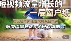 任性大舅·宠物行业短视频运营课(不讲废话)，短视频流量增长的一层窗户纸，解决流量焦虑&实现降本增效-项目资源库