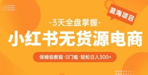 2023【阿本小红书无货源电商训练营】保姆级教程，从0到1，3天全盘掌握，轻松日入300+-项目资源库