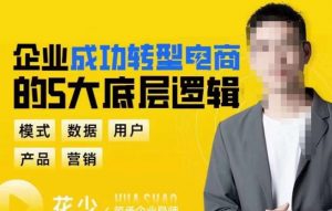 企业成功转型电商的5大底层逻辑,从模式、数据、用户、产品、营销5大板块,助你高效转型电商赛道-项目资源库