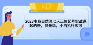 2023电商自然流七天正价起号实战课：起的慢，但是稳，小白执行即可！-项目资源库