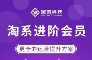 星雪·淘系进阶课程,快速提升突破技能流量瓶颈必备(更新2023年5月)-项目资源库