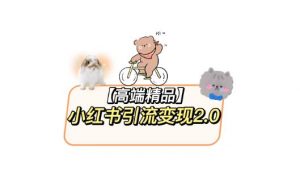 小红书最新引流变现教程，全网最新最详细的视频教程以及素材-项目资源库