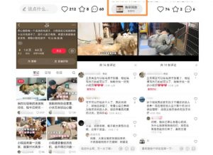 小红书蓝海类赛道:小动物打赏与购买变现副业项目,一条龙玩法分享给你!-项目资源库