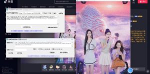 最新电脑版抖音/快手/B站直播源获取+直播间实时录制+直播转播软件【全套软件+详细教程】-项目资源库