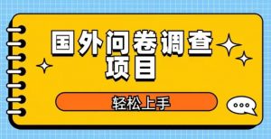 国外问卷调查项目，日入300+，在家赚美金【揭秘】-项目资源库