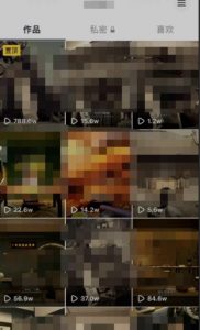 毒文案升级玩法，流量爆炸，5分钟一条原创作品，单个作品变现500+-项目资源库