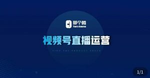 那个腾·视频号直播运营,视频号直播推流逻辑/流量渠道解析/直播起号攻略/直播实操技巧-项目资源库