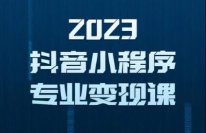 2023年抖音小程序变现保姆级教程,0粉丝新号,无需实名,3天起号,第1条视频就有收入-项目资源库