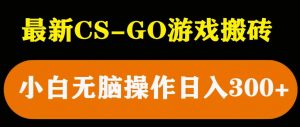 最新csgo游戏搬砖游戏,无需挂机小白无脑也能日入300+-项目资源库