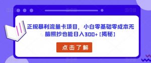 正规暴利流量卡项目,小白零基础零成本无脑照抄也能日入300+【揭秘】-项目资源库