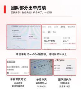 2023小红书电商火爆全网,新晋红利,风口项目,单店收益在3000-30000!-项目资源库
