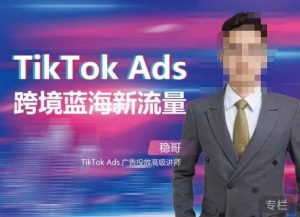 稳哥·如何投出高ROI的TikTok广告，开拓独立站卖家流量新蓝海-项目资源库