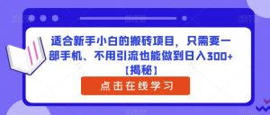 适合新手小白的搬砖项目，只需要一部手机、不用引流也能做到日入300+【揭秘】-项目资源库