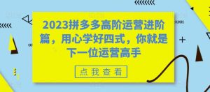 2023拼多多高阶运营进阶篇，用心学好四式，你就是下一位运营高手-项目资源库