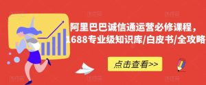 阿里巴巴诚信通运营必修课程,1688专业级知识库/白皮书/全攻略-项目资源库