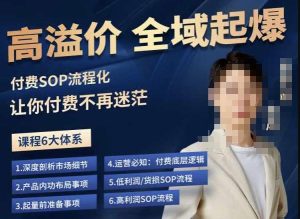 逸风-拼多多高溢价全域起爆，6大课程体系，付费玩法全套实操-项目资源库