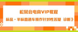 松鼠会电商VIP教程：松鼠《付费推广标品·半标直通车操作针对性答疑&诊断》-项目资源库