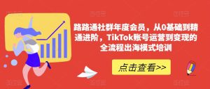 路路通社群年度会员,从0基础到精通进阶,TikTok账号运营到变现的全流程出海模式培训-项目资源库