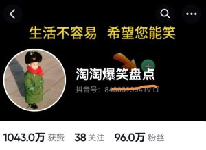 价值1000的搞笑盘点大V淘淘爆笑盘点详细课程+软件，中视频变现-项目资源库