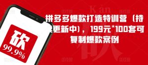 拼多多爆款打造特训营(持续更新中),199元*100套可复制爆款案例-项目资源库
