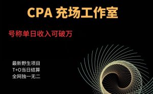 cpa充场工作室，号称单日收入10000+（揭秘）-项目资源库
