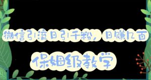 微信互推圈半自动引流方案,矩阵操作日引千人思路【详细视频教程】-项目资源库