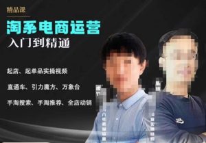2023手淘搜索实操课+体系化课程,起店起单品实操视频课程-项目资源库