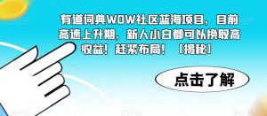 有道词典WOW社区蓝海项目，目前高速上升期，新人小白都可以换取高收益！赶紧布局！【揭秘】-项目资源库