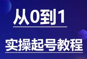 石野·小白起号实操教程，​掌握各种起号的玩法技术，了解流量的核心-项目资源库