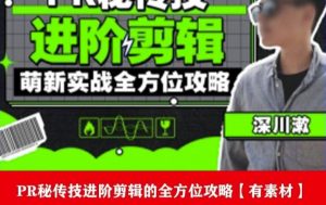 PR进阶剪辑培训班,让你快速成为剪辑大师12节视频课程+素材!-项目资源库