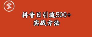 宝哥抖音直播引流私域的6个方法，日引流500+-项目资源库