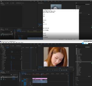 2023年6月最新Pr深度去重适用所有赛道，一套适合所有赛道的Pr去重方法-项目资源库