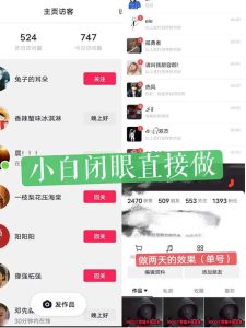 一天做完别一辈子的视频制作最近很火的《1000个野路子信息差》100%过原创【揭秘】-项目资源库