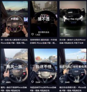 抖音开车视频项目,0基础操作,每天五分钟,月入1W+【揭秘】-项目资源库