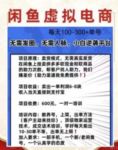 外边收费600多的闲鱼新玩法虚似电商之拼多多助力项目，单号100-300元-项目资源库
