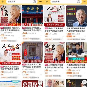 拆解小红书宝宝起名虚拟副业项目,一条龙实操玩法分享给你(教程+软件)-项目资源库