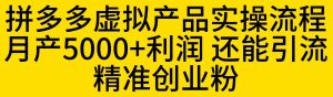 拼多多虚拟产品实操流程，月产5000+利润，还能引流精准创业粉【揭秘】-项目资源库